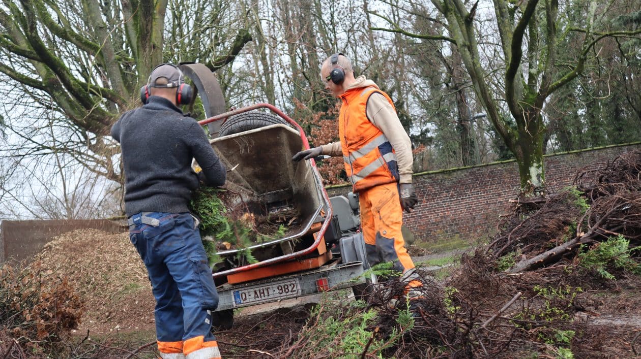 Weerwerk groen aan het verhakselen