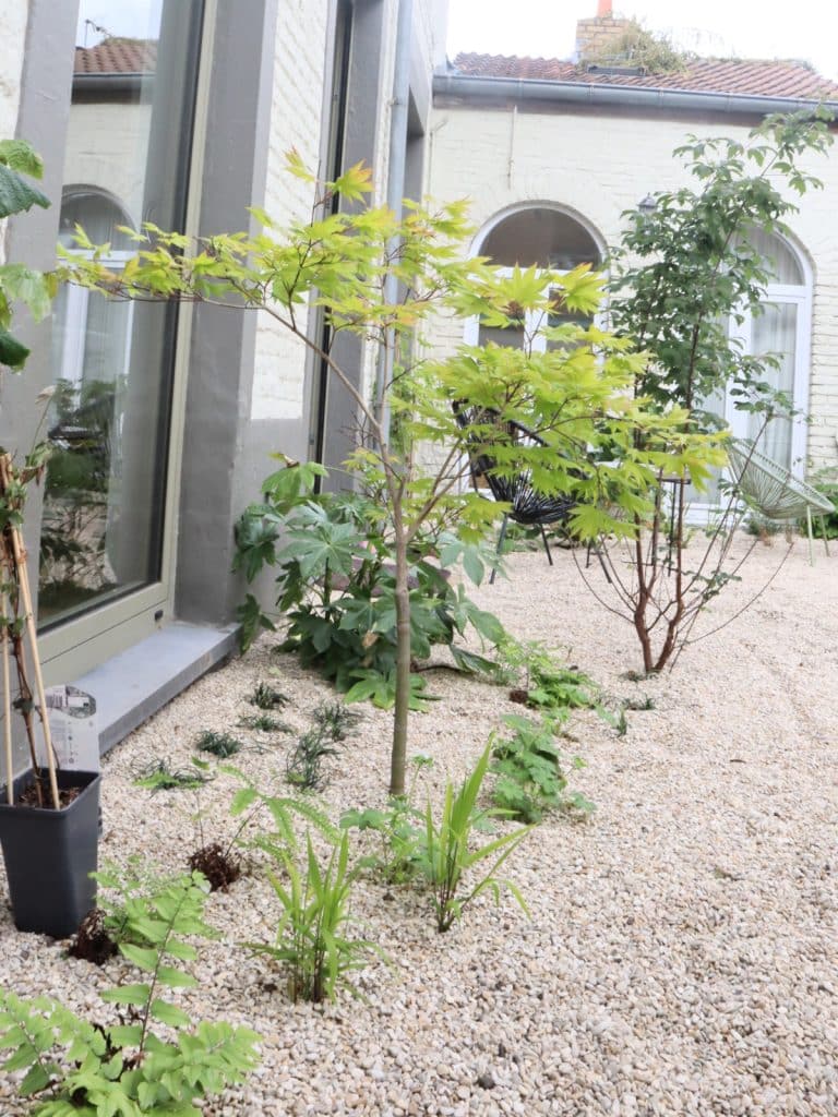 Aanleg stadstuin door Weerwerk
